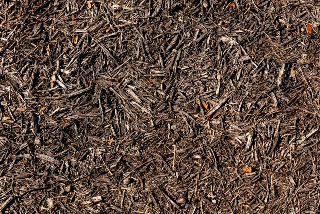 Dit zijn de voordelen van mulch in je tuin